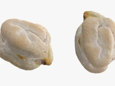 Dry Garbanzo Bean 02 3D model
