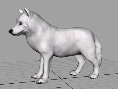Artic Wolf  Low-poly 3D model