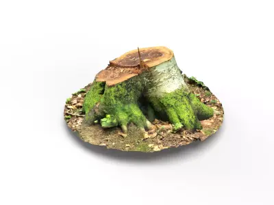 Forest Tree Stump 4K -Part 2- Free low-poly 3D model