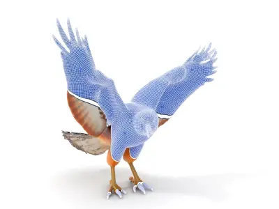 Eagle Model Pack  Realistic Bird D Model for Animation and Games Low-poly 3D model