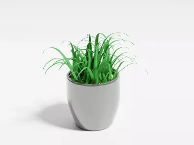 Pot Plant Free 3D model