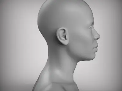 10 Realistic Female Asian American head Low-poly 3D model Low-poly 3D model