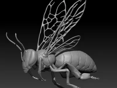 Honey bee in flight Free 3D model