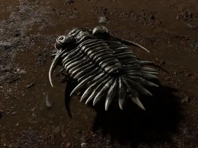 Trilobite 04 - KAYSEROPS Low-poly 3D model