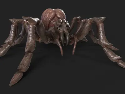 Spider Rigged and Animated Low-poly 3D model