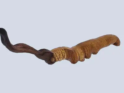 Cordyceps Low-poly 3D model