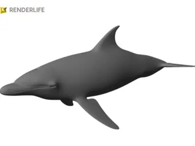 Dolphin with animation 3D model