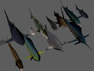 Rigged Low Poly Underwater Fish Collection 3D Models Low-poly 3D model