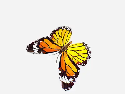 Animated Low Poly Art Several Butterflie Insect Low-poly 3D model