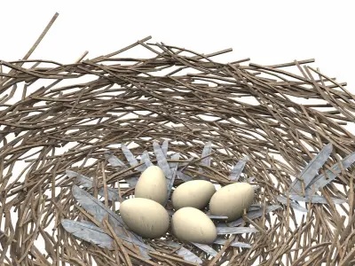 Bird nest v2 3D model