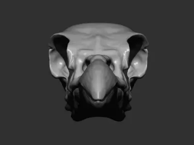 High Poly Raven Skull Sculpt Free 3D model