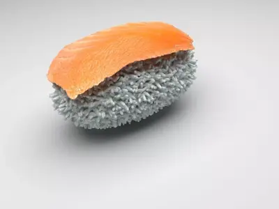 Shake Nigiri Salmon Sushi 3D model