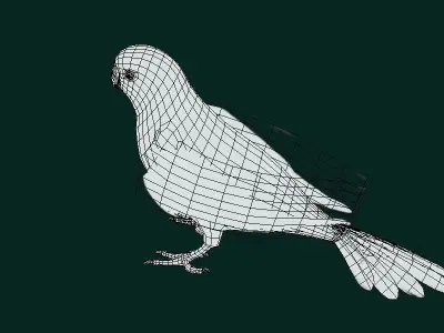 Budgerigar Budgie Bird Low-poly 3D model