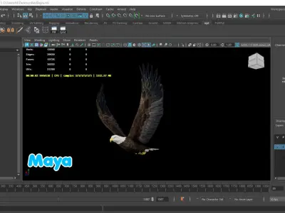 Realistic Animated Bald Eagle Low-poly 3D model