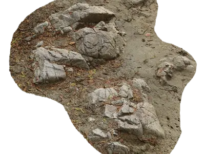  Medium Low Cracked Beach Rock Model 