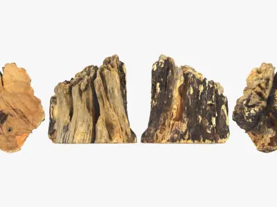 Tree Trunk Piece 14 3D model