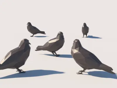 Lowpoly Pigeon 001 3D model