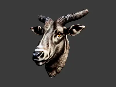 Bull Animal Head Low-poly 3D model