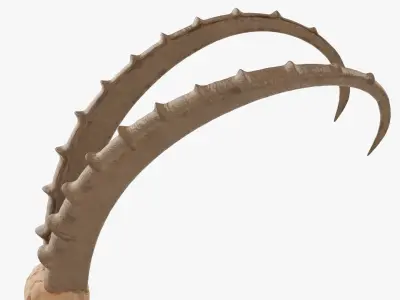 Animal antelope skull statuette Free 3D model