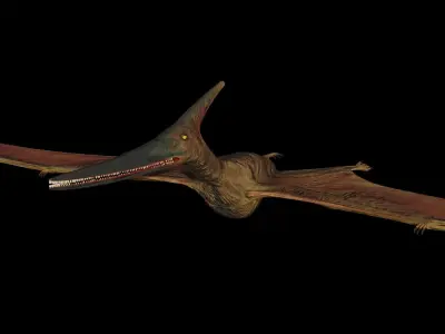 Pterodactyl dinosaur flying in air Low-poly 3D model