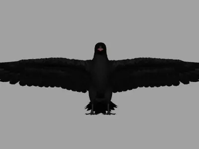 Crow Bird Dove 3D model