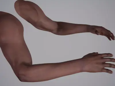 FPS Arms 02 Rigged Free 3D model