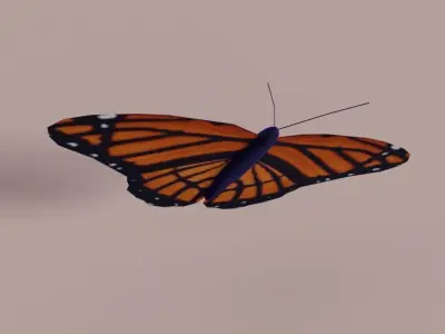 Rigged Low Poly Butterfly Free low-poly 3D model