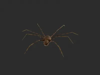 3D TIGER SPIDER Low-poly 3D model