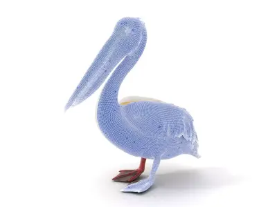 Elegant White Pelican model pack Low-poly 3D model