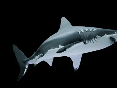 Great White Shark Low-poly 3D model