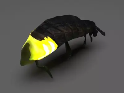 Glow Worm 3D model