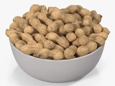 Peanuts 2 3D model