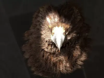 Giant Eagle 3D model