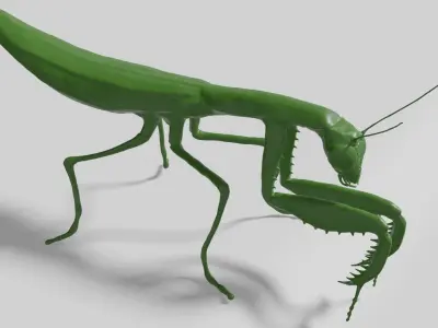 Mantis praying 3D model