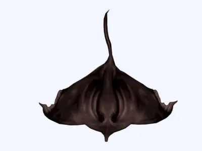 Stingray Low-poly 3D model