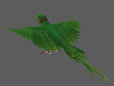 Green Parrot 3D model