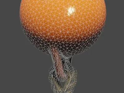 Mooring Buoy Low-poly 3D model