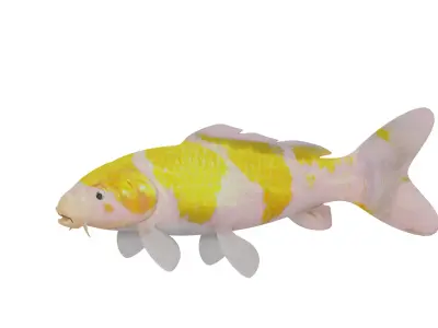 Nishikigoi Koi Fish Low-poly 3D model
