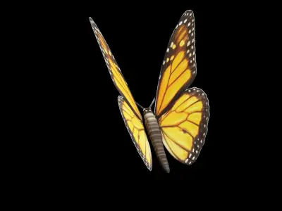 Butterfly fully rigged and animated Low-poly 3D model