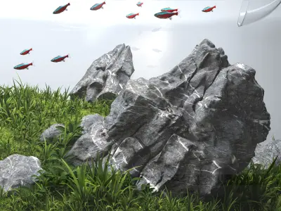 Aquascape aquarium Iwagumi 3D model