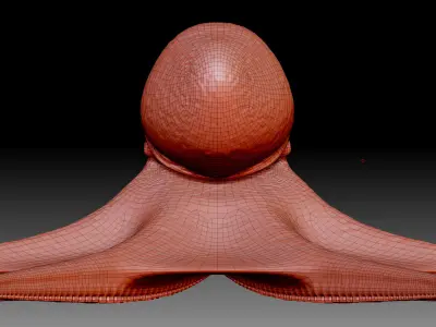 Octopus base mesh 3D model