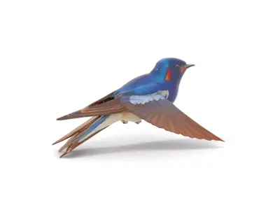 Colorful Sparrow model pack Low-poly 3D model