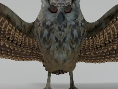 Barn Owl Low-poly 3D model