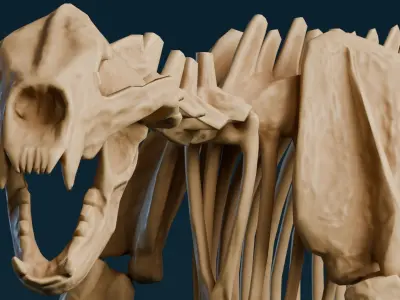 Realistic Mammals Fossil - Short Faced Bear Low-poly 3D model