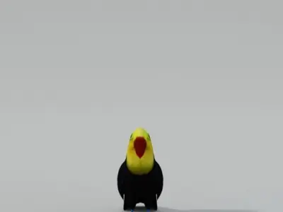 Toucan bird Low-poly 3D model