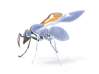 Mechanical Insect model pack Low-poly 3D model