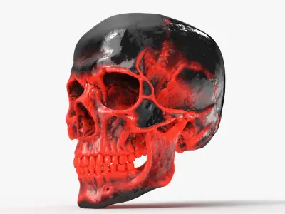 Human Skull Sci-fi Hot 3D model