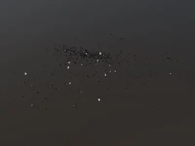 Debris Stone Low position Low-poly 3D model