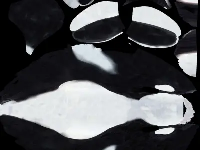 Killer Whale Animate and Rigged Low-poly 3D model