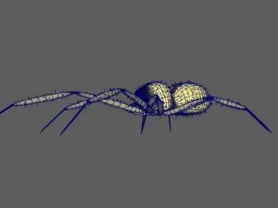 Spider Yellow sac 3D model